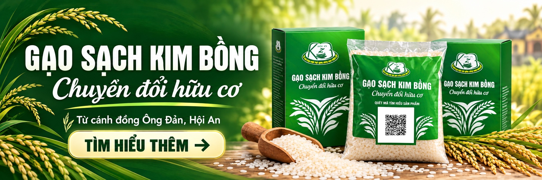 Gạo sạch Kim Bồng – Thông tin sản phẩm và nguồn gốc